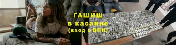 прущие грибы Абинск
