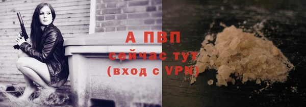 дживик Абаза