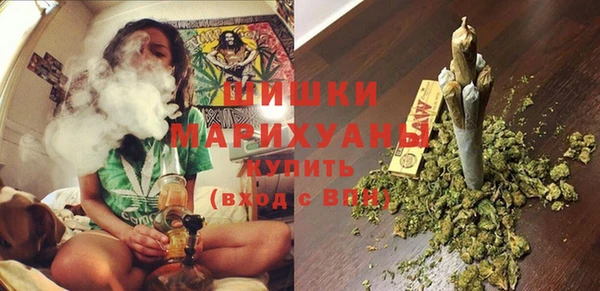 прущие грибы Абинск