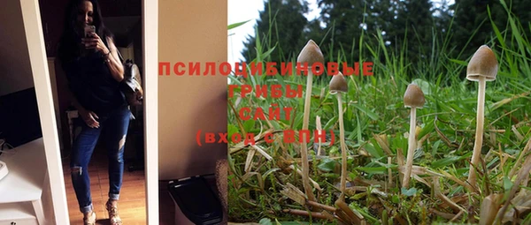 дживик Абаза