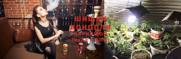 прущие грибы Абинск