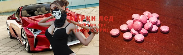 прущие грибы Абинск